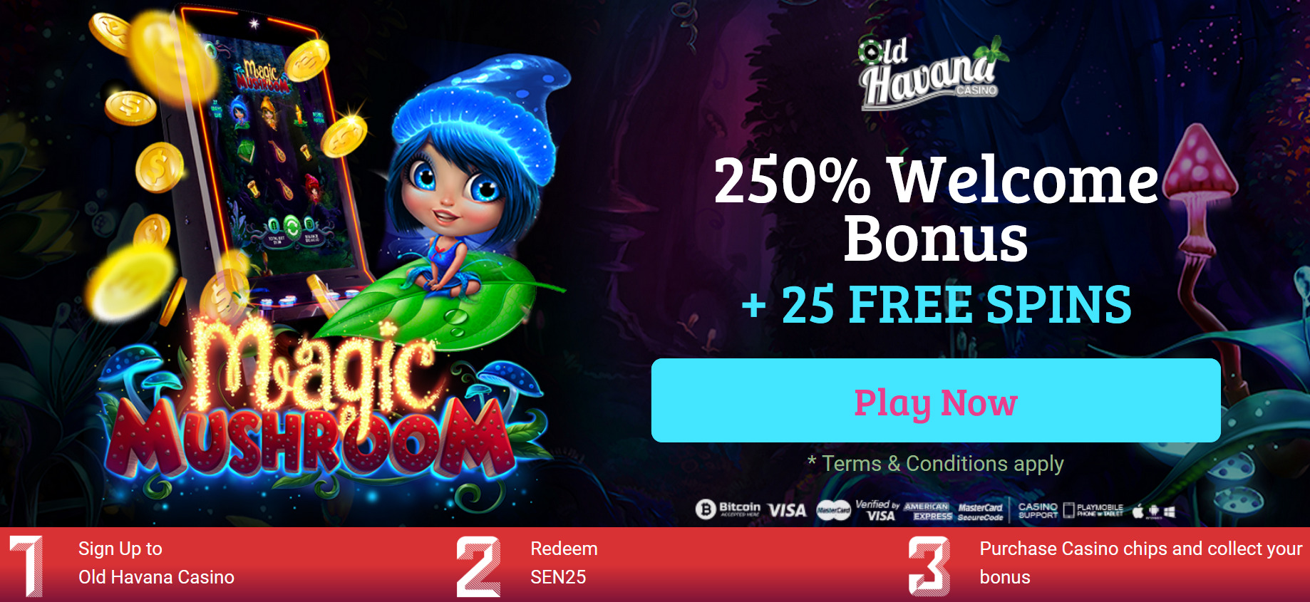 250% WELCOME BONUS | + 25 FREE SPINS